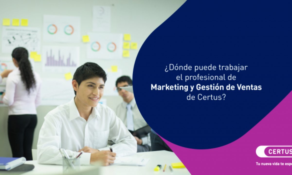 ¿Dónde se trabaja con marketing?